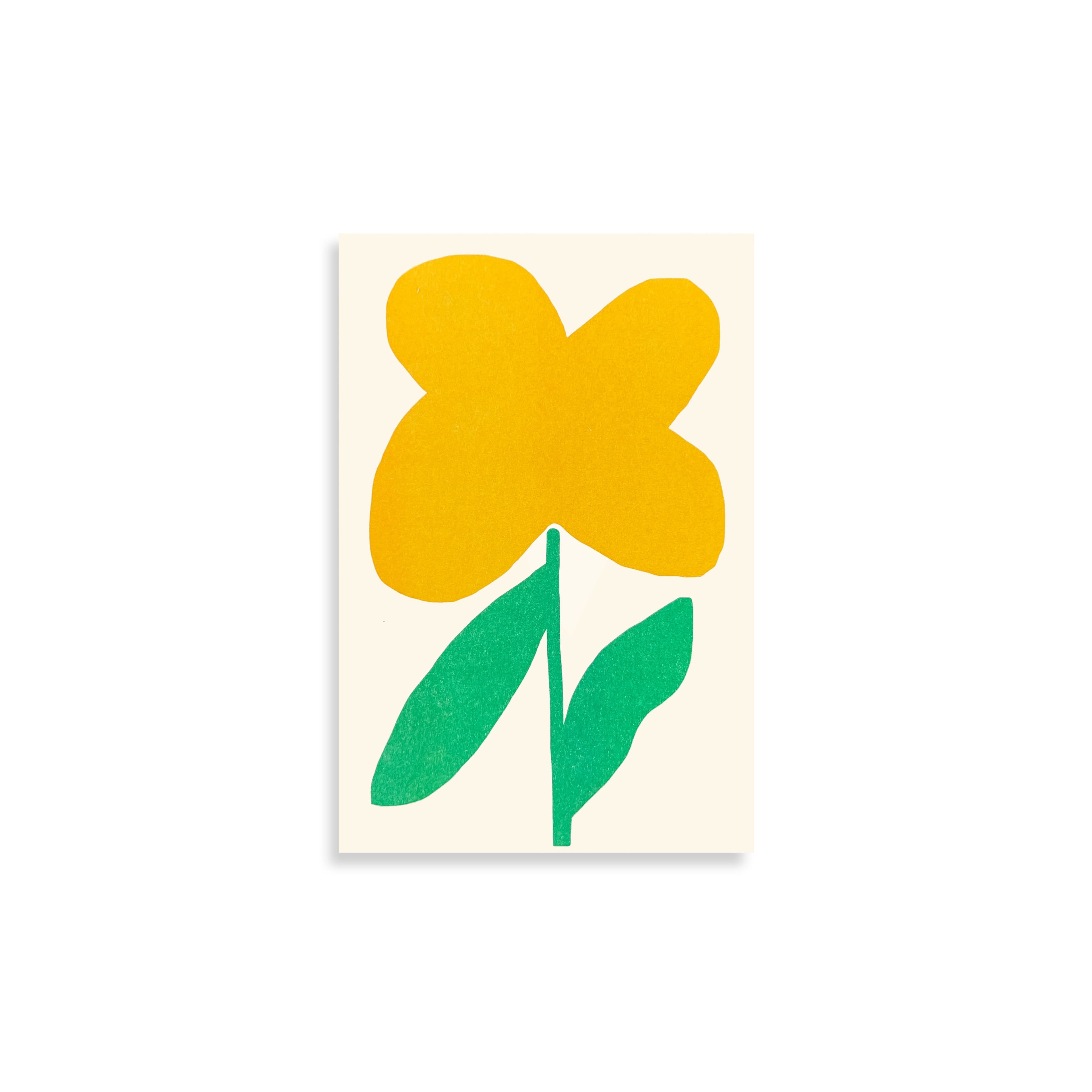 Oxalis Pad